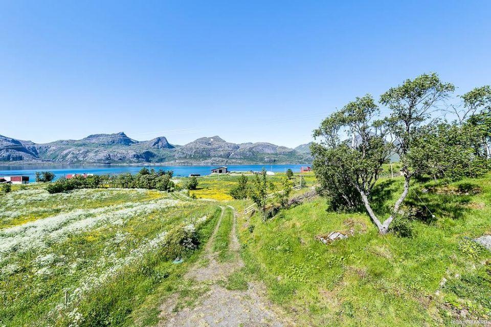 Vevika Lofoten Villa Gravdal  Bagian luar foto