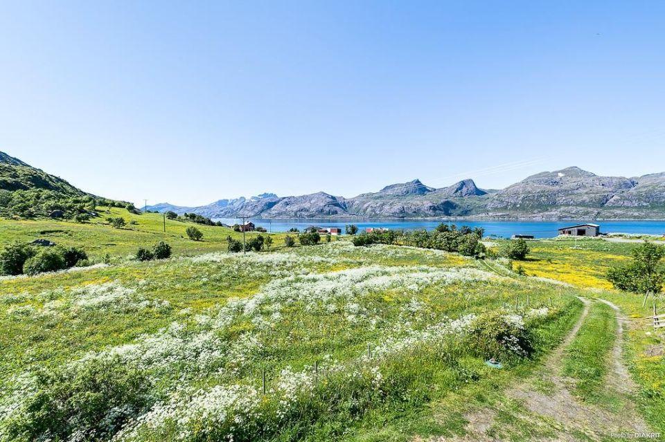 Vevika Lofoten Villa Gravdal  Bagian luar foto