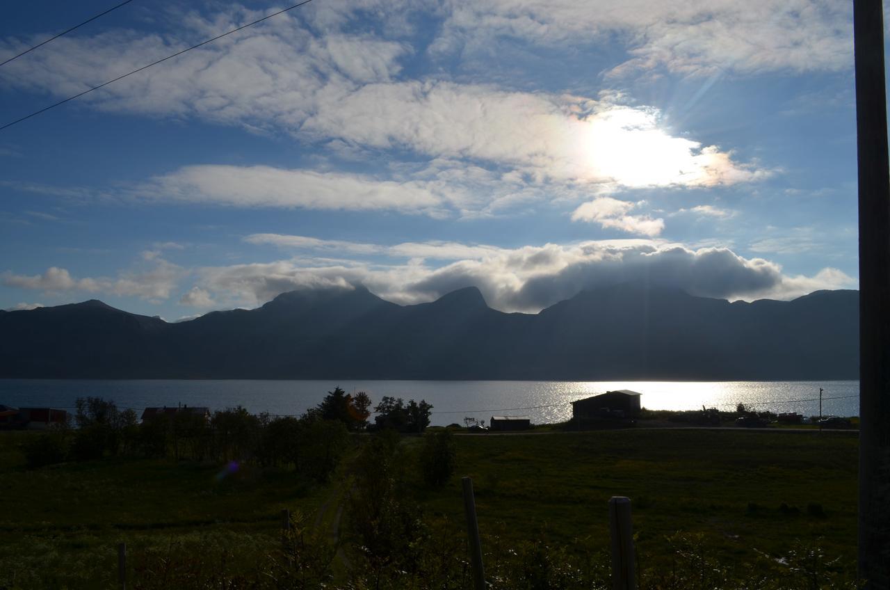 Vevika Lofoten Villa Gravdal  Bagian luar foto